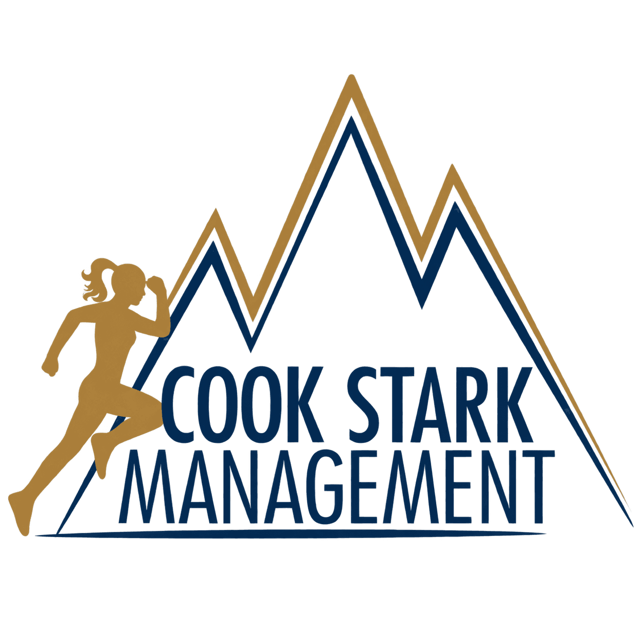 Cook Stark Management